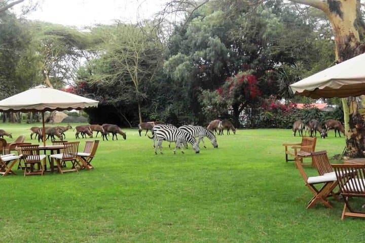 Hells Gate Excursion in Naivasha