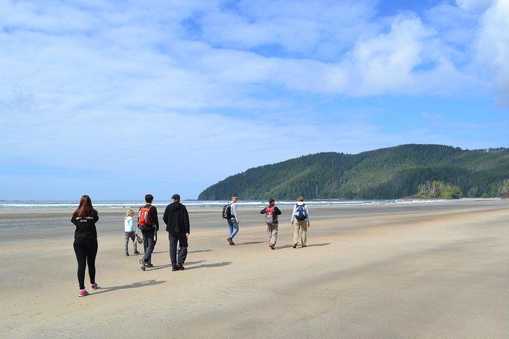 Splendido tour della baia di San Josef nel parco provinciale di Cape Scott