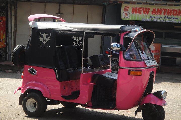 Whale Watching by TUK TUK Uit Galle