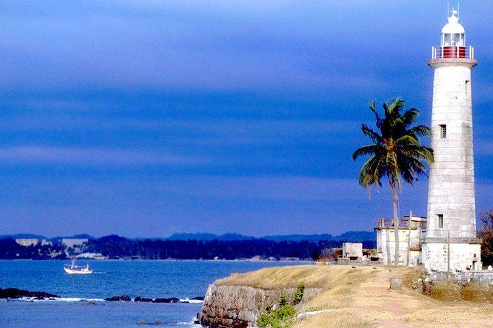 Galle Day Trip con Mangrove Safari Da Negombo