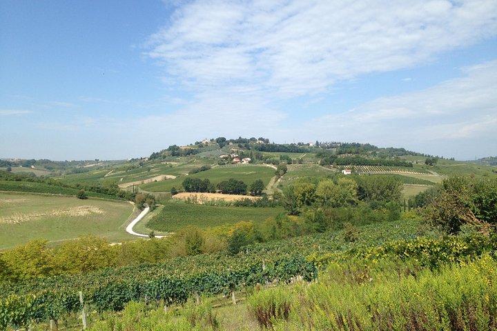 Excursão a Pisa e San Gimignano saindo de Florença
