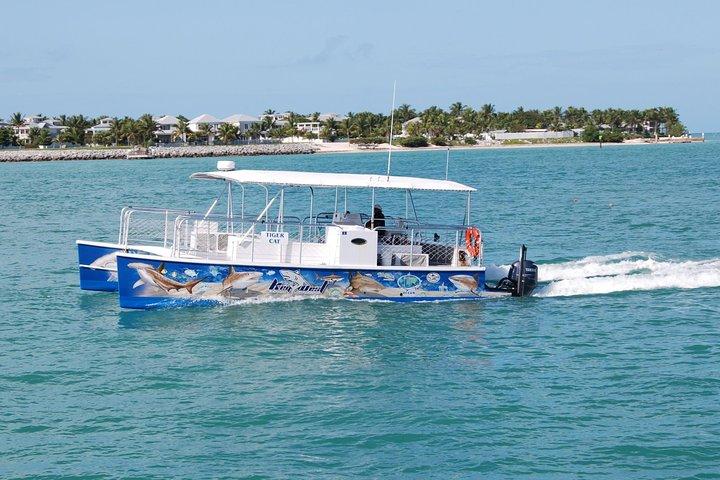 Aventure d'observation des requins et de la faune à Key West