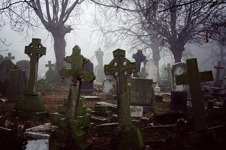 Friedhof und Ghost BYOB Bustour in New Orleans