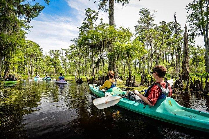 Small-Group Manchac Swamp Kayak Tour with Local Guide
