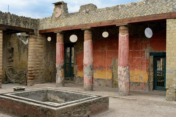 Half Day Morning Tour of Herculaneum från Sorrento