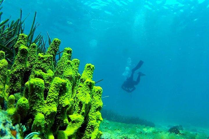 Pacote 2 Dives