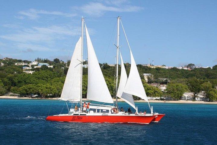 Crucero de buceo con tortuga catamarán y naufragio en Barbados