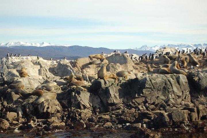 Navigation dans le chenal Beagle - Sea Lions Island