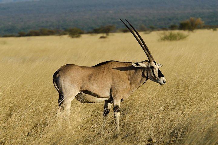 Awash National Park Tours