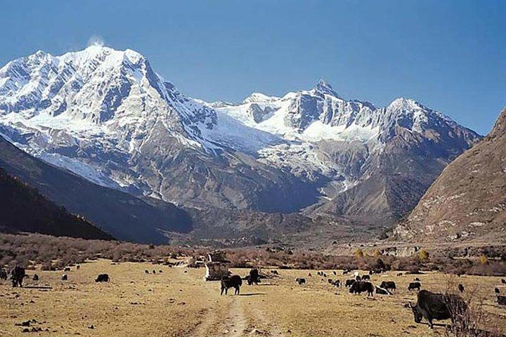 Manaslu Circuit Trek