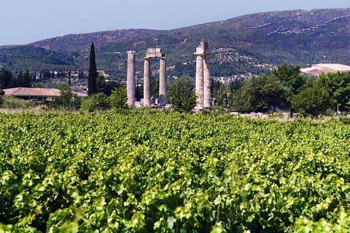 息を呑むナフプリオンのプライベートツアーがあるネメアのワイン街道
