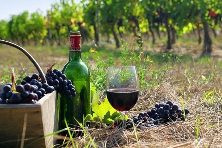 Les routes des vins de Nemea avec une visite privée Nafplion à couper le souffle