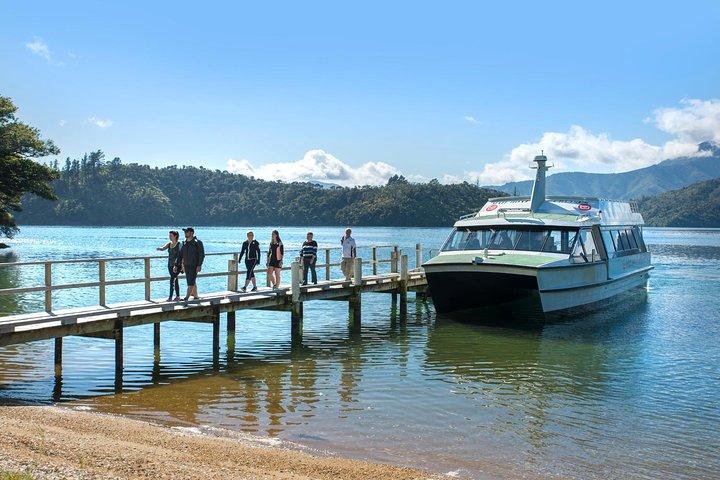 Croisière à bord du bateau postal Queen Charlotte Sound