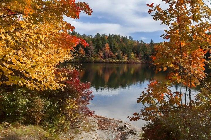 Boston to New Hampshire Fall Foliage White Mountains Day Trip