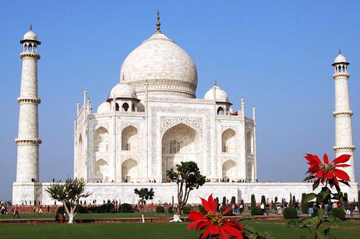 Taj Mahal en Agra Fort met Mother Teresa's Missionaries Of Charity From Delhi