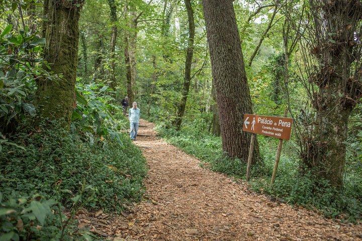 SINTRA – CABO DA ROCA – CASCAIS: En magisk flugt
