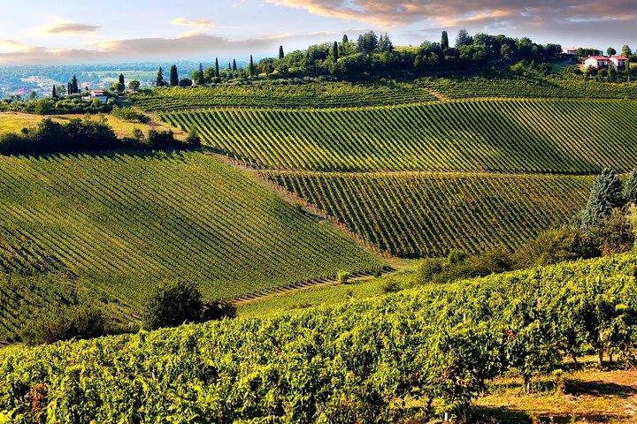 Chianti halve dag wijntour in de Toscaanse heuvels Kleine groep vanuit Lucca