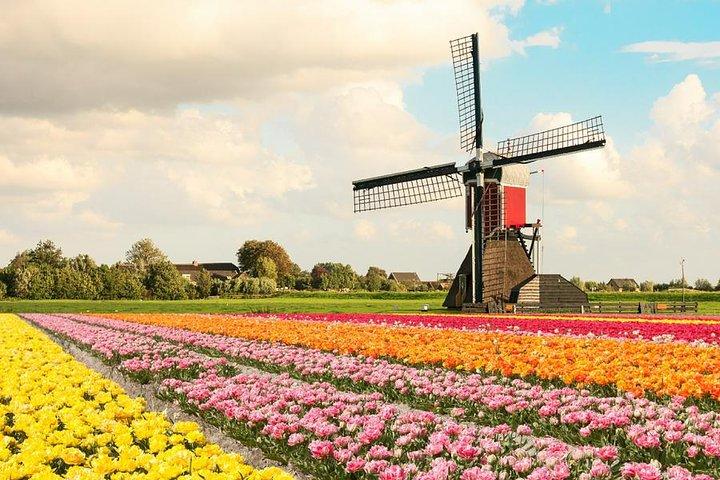 Windmills & Keukenhof Gardens e Tulip Fields Tour da Amsterdam