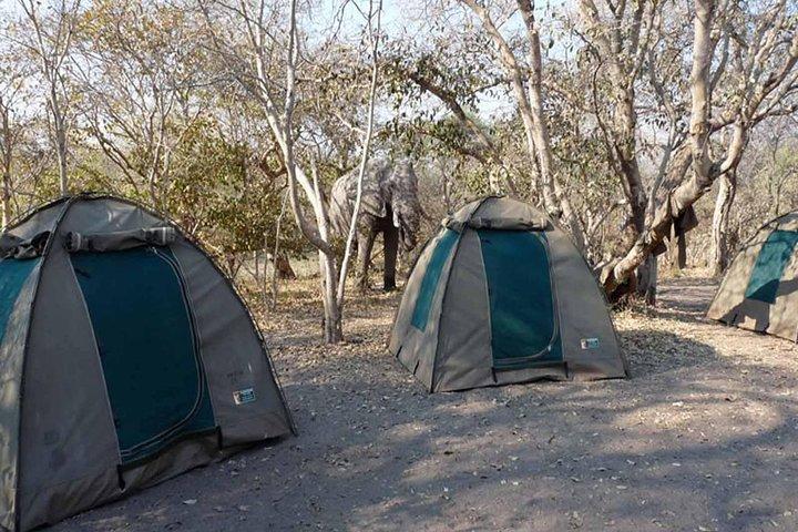 Chobe National Park Camping Safari From Victoria Falls (2 giorni e 2 notti)