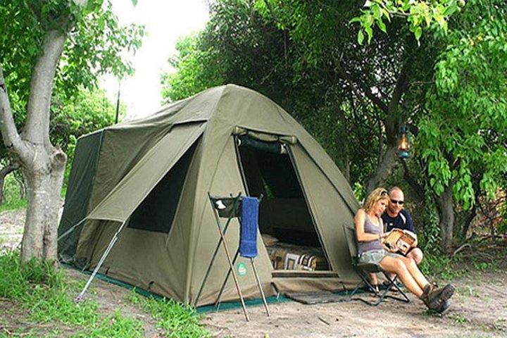 Chobe National Park Camping Safari Da Victoria Falls (1 giorno e 1 notte)