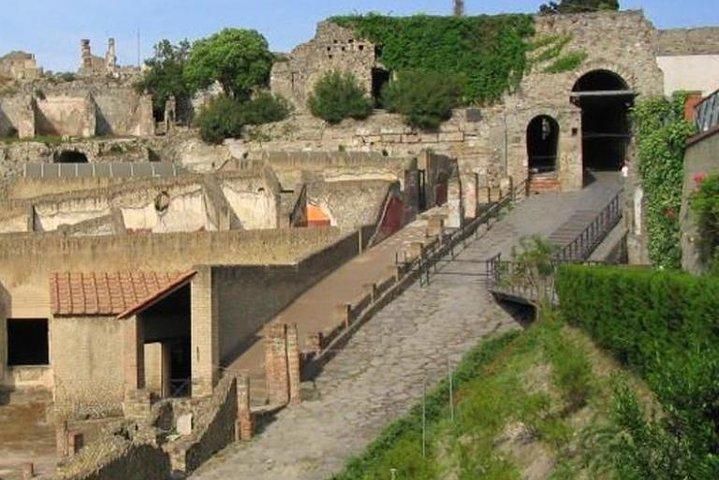 Excursión privada de un día a Pompeya desde Roma