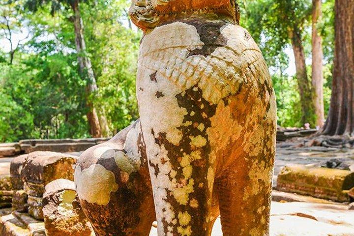 Private Full-Day Angkor Temple and Sunset Viewing with Lunch