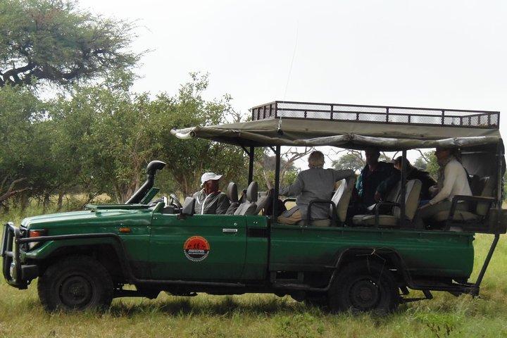 Lo mejor de Botswana y las cataratas de Vic: con bastones safaris