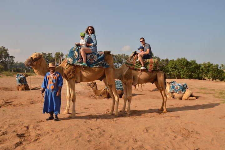 Giro in cammello al tramonto ad Agadir con trasporto, tè e dolci.