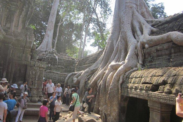 Shared Tour to Angkor Wat-Bayon-Ta Prohm Temples from Siem Reap