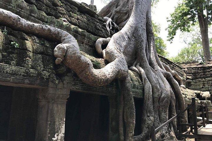 Siem Reap Highlight 2 Nights 3 Days Package