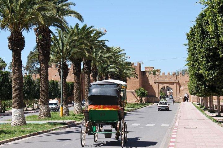 Taroudant e Tiout Day Trip da Agadir con pranzo