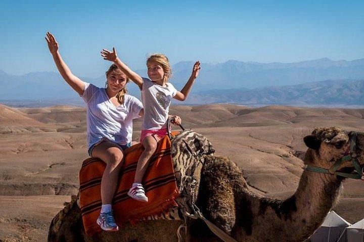 Sunset Camel Ride in Agadir With Hotel Pick up and Drop off