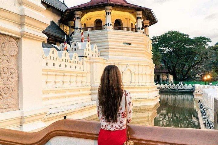 Kandy Day Tour Fra Colombo