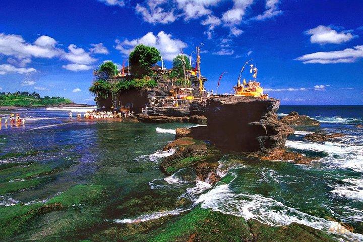 Full Day Water Temples Tour och UNESCO ris terrasser