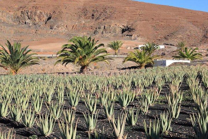 Tour storico di Gran Canaria - Ieri e oggi Premium