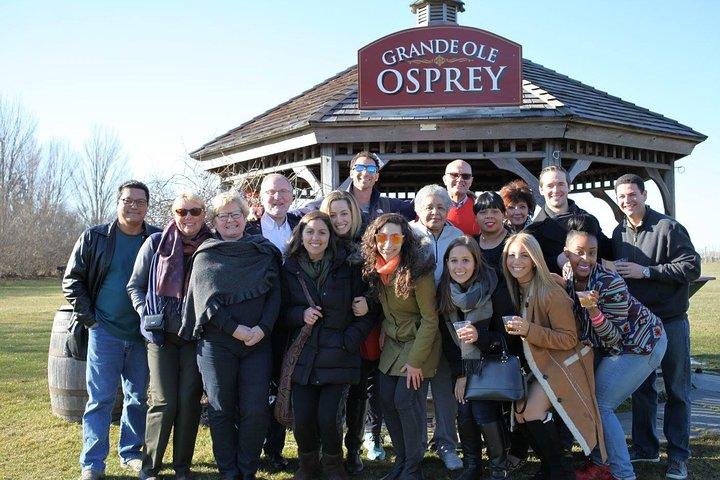 Long Island Winery Tour com almoço a partir de Manhattan (# 1 Classificado!)