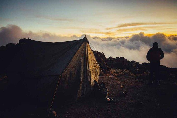 6 Dage Kilimanjaro Trekking - Machame Route