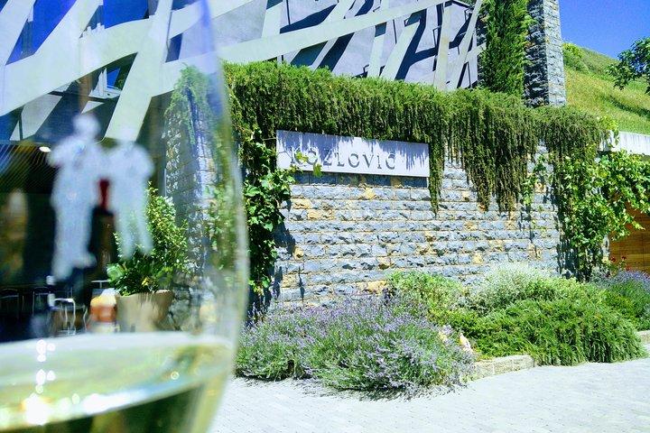ワイン&その他のツアー、ROVINJ&PULAからワインセラーへのガイド付きワインツアー