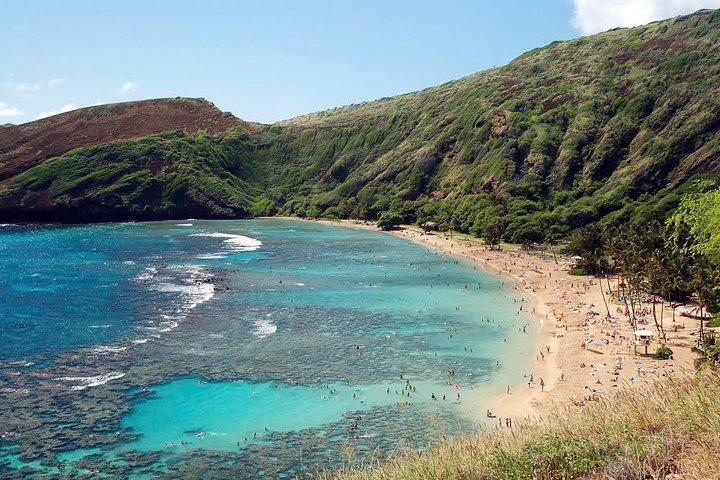 ワイキキ発ハナウマ湾シュノーケリング