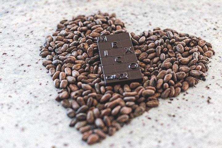 プエルト・バジャルタでチョコレートワークショップ（Bean to Bar Experience）
