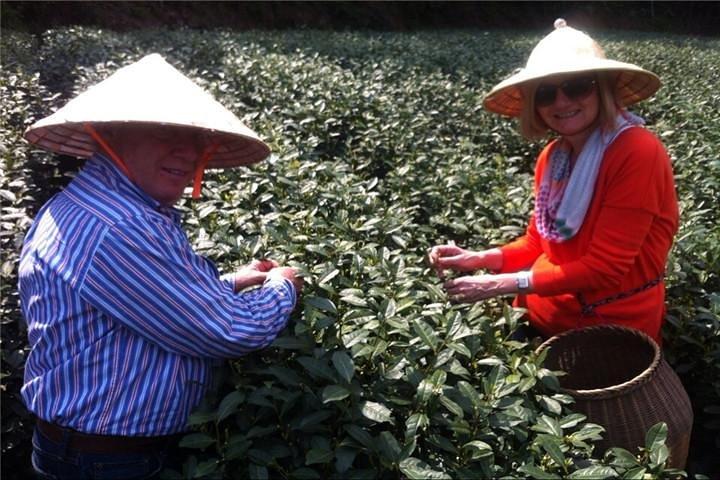Djupgående tetur: Besök tegårdar, smaka Longjing och träffa lokalbefolkningen