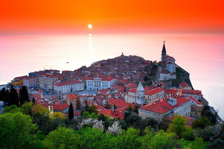 Visite d'une journée complète des grottes de Skocjan UNESCO et de Piran (petit groupe, max. 8)
