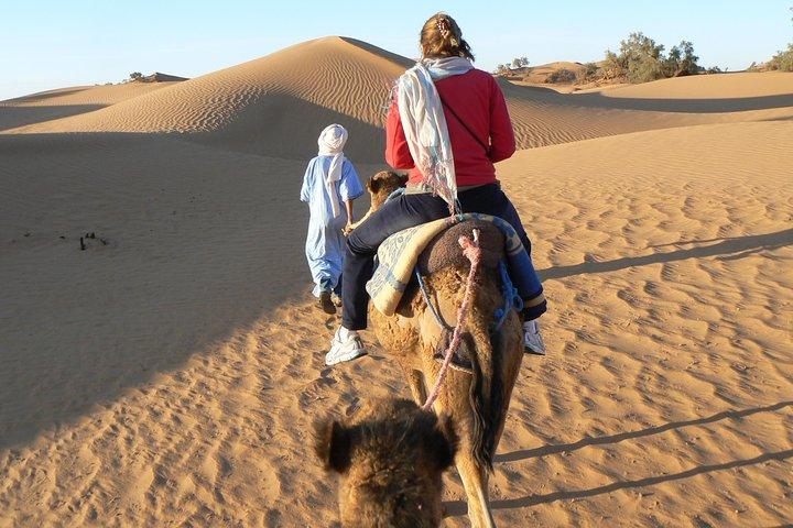 Da Marrakech: tour privato all'oasi e trekking nel deserto dell'Erg Chigaga