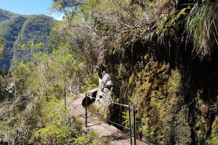 Privé begeleide wandeling Levada Caldeirao Verde
