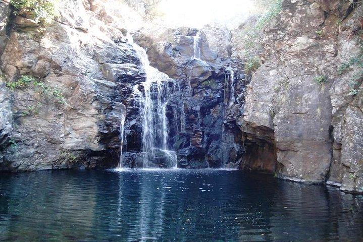Privat guidad promenad Levada Alecrim