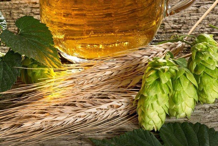 Excursão pela cervejaria do Lago Canandaigua