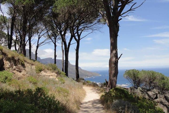 Pipetrack Hike for the whole family on Table Mountain - PRIVATE