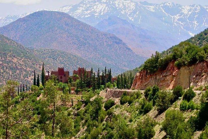 Gita di un'intera giornata alle montagne dell'Atlante e 3 valli da Marrakech