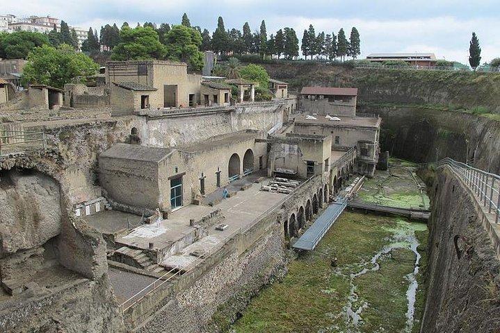 Herculaneum Ruins: Dagstur fra Napoli med Skip the Line