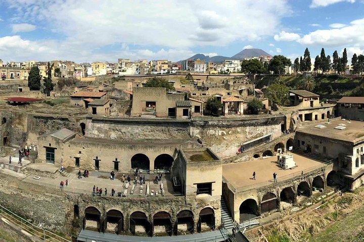 Vesuvius og Herculaneum Dagstur fra Napoli med Skip the Line